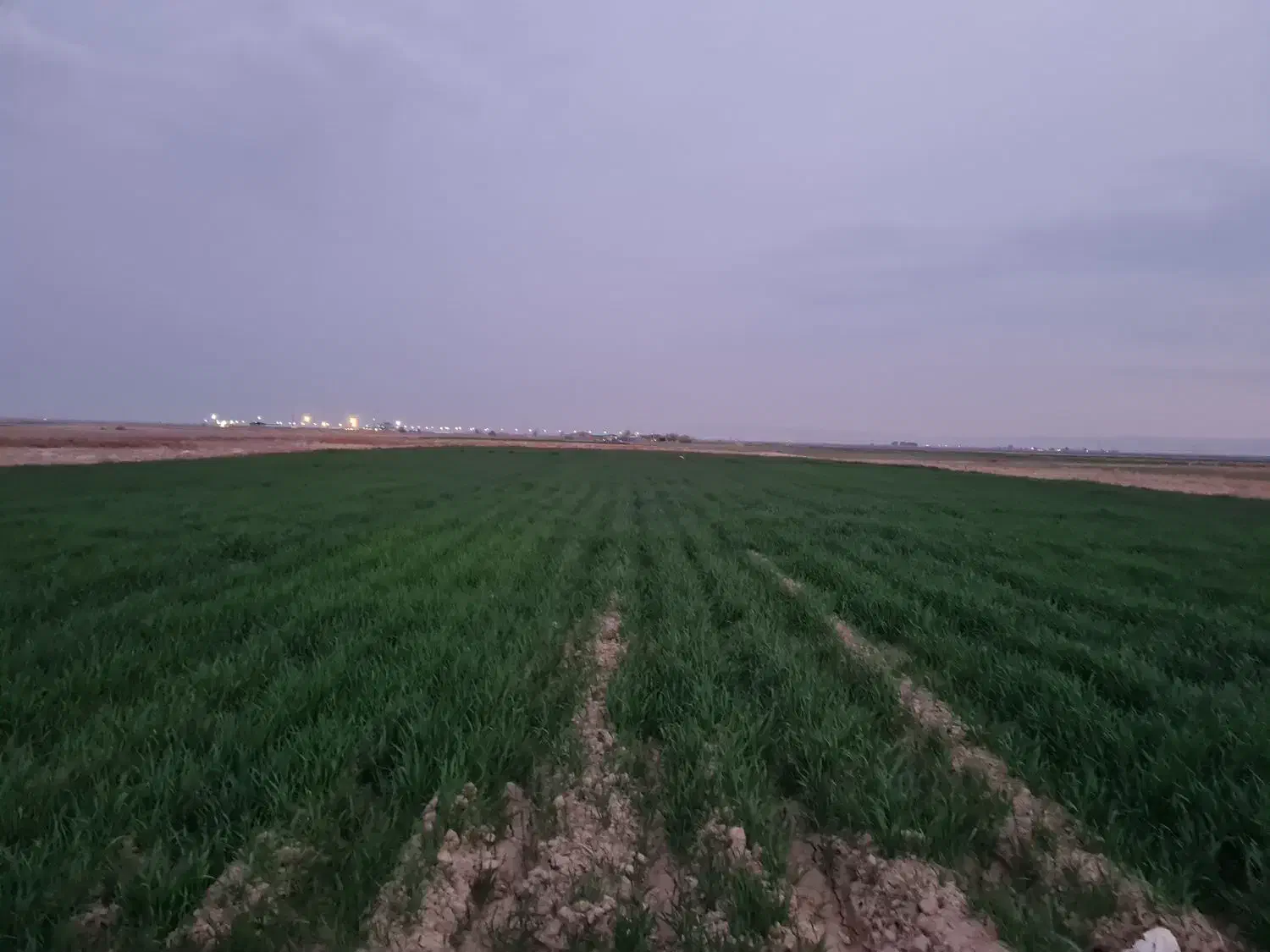 فروش زمین کشاورزی|فروش دفتر صنعتی، کشاورزی، تجاری|جوادآباد, |دیوار