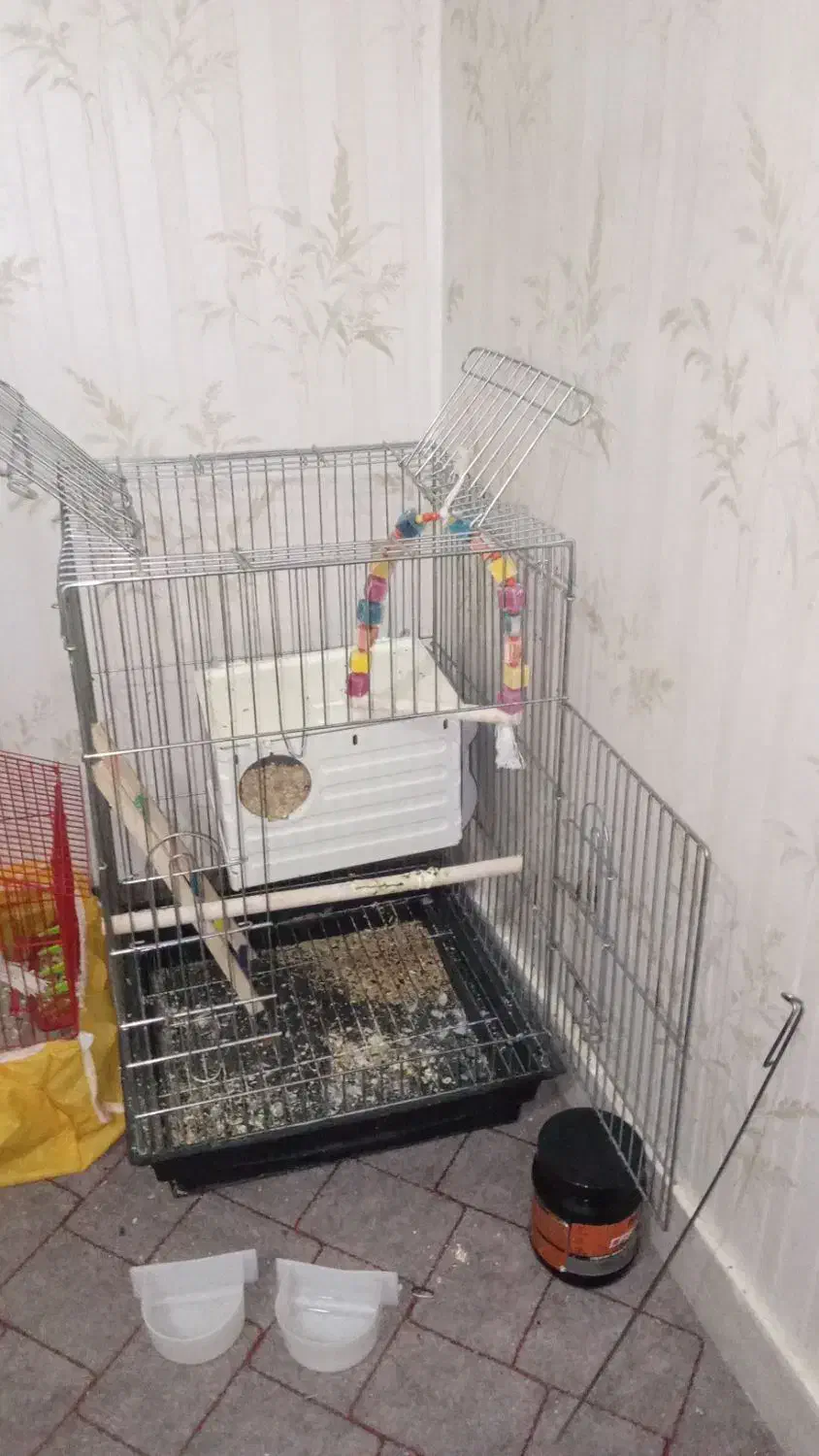 قفس ب|لوازم جانبی حیوانات|ایلام, |دیوار