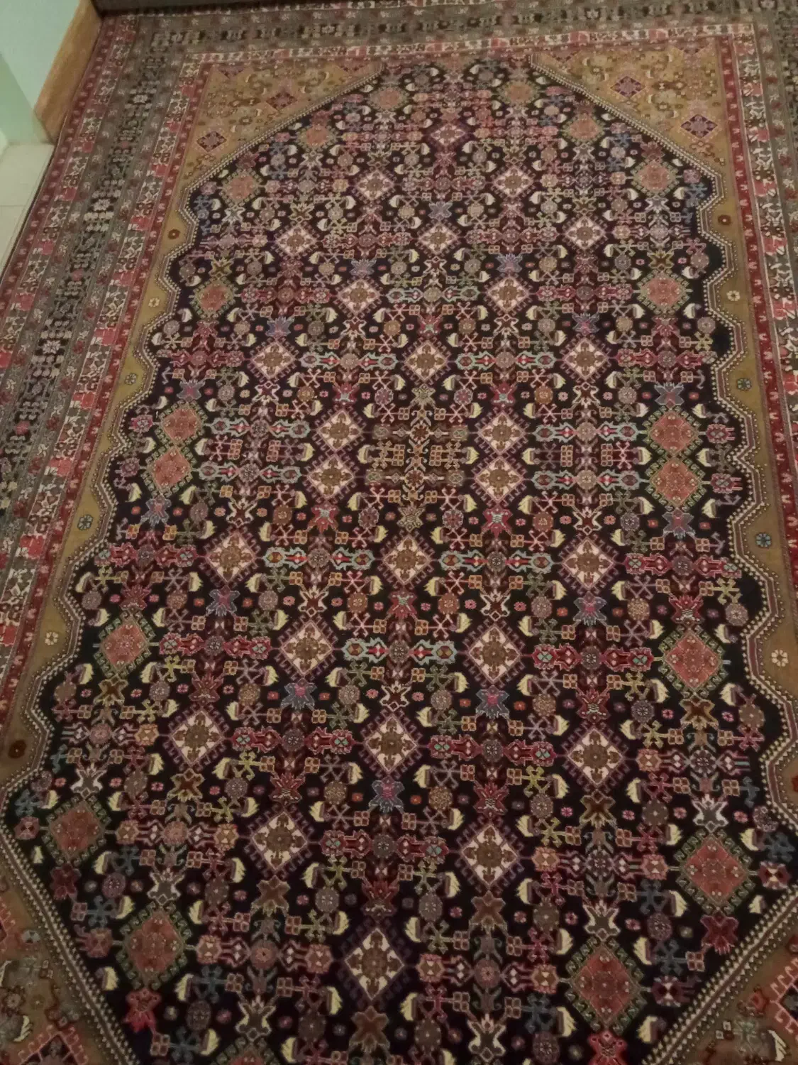 فرش دستبافت ۶ متری مرینوس|فرش|شیراز, تپه تلویزیون|دیوار