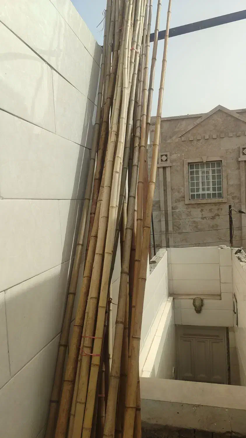 چوب بامبو مخصوص پرچم|خدمات پذیرایی، مراسم|اهواز, کوی فاطمیه|دیوار