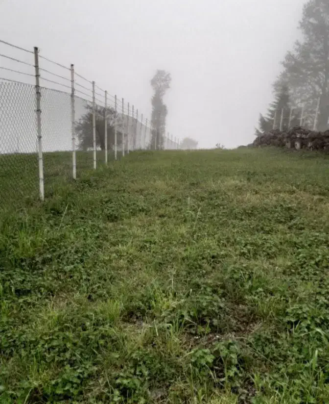 اجرای فنس ودیوار|خدمات باغبانی و درختکاری|رودبار, |دیوار