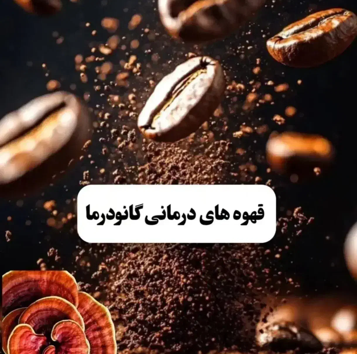 قهوه گانودرما|خوردنی و آشامیدنی|تهران, دریان‌نو|دیوار