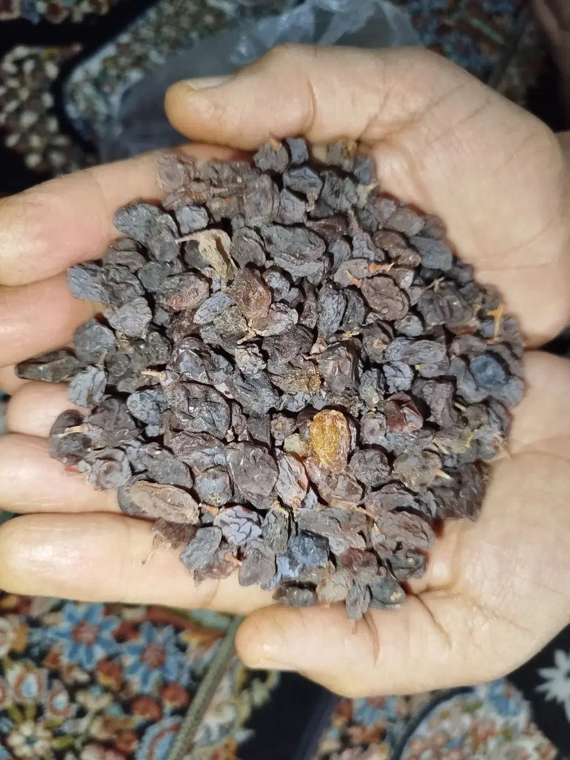 کشمش بش بی هسته|خوردنی و آشامیدنی|شیراز, کوزه گری|دیوار