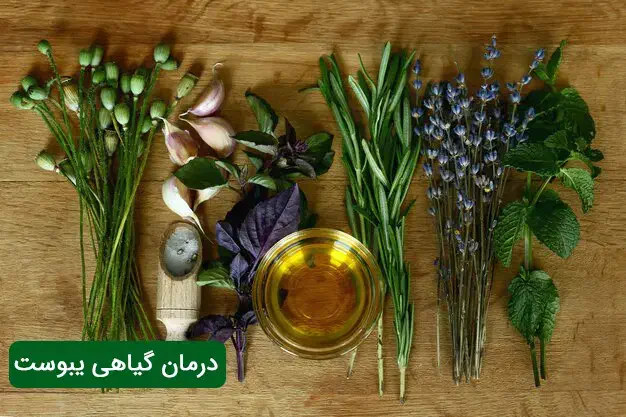 خداحافظی با قرص های شیمیایی|فعالیت داوطلبانه|ساری, |دیوار