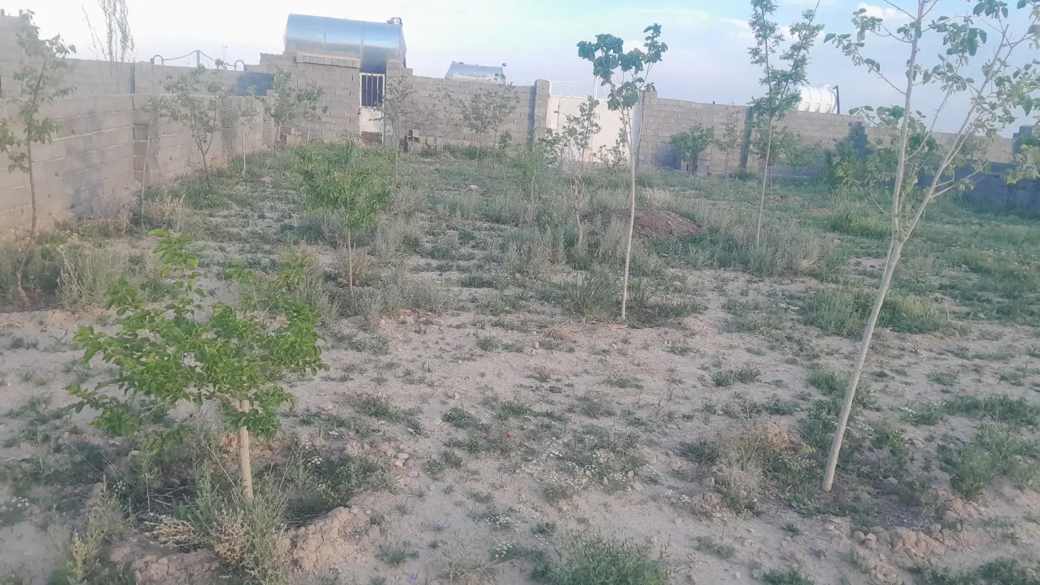 تصویر 4