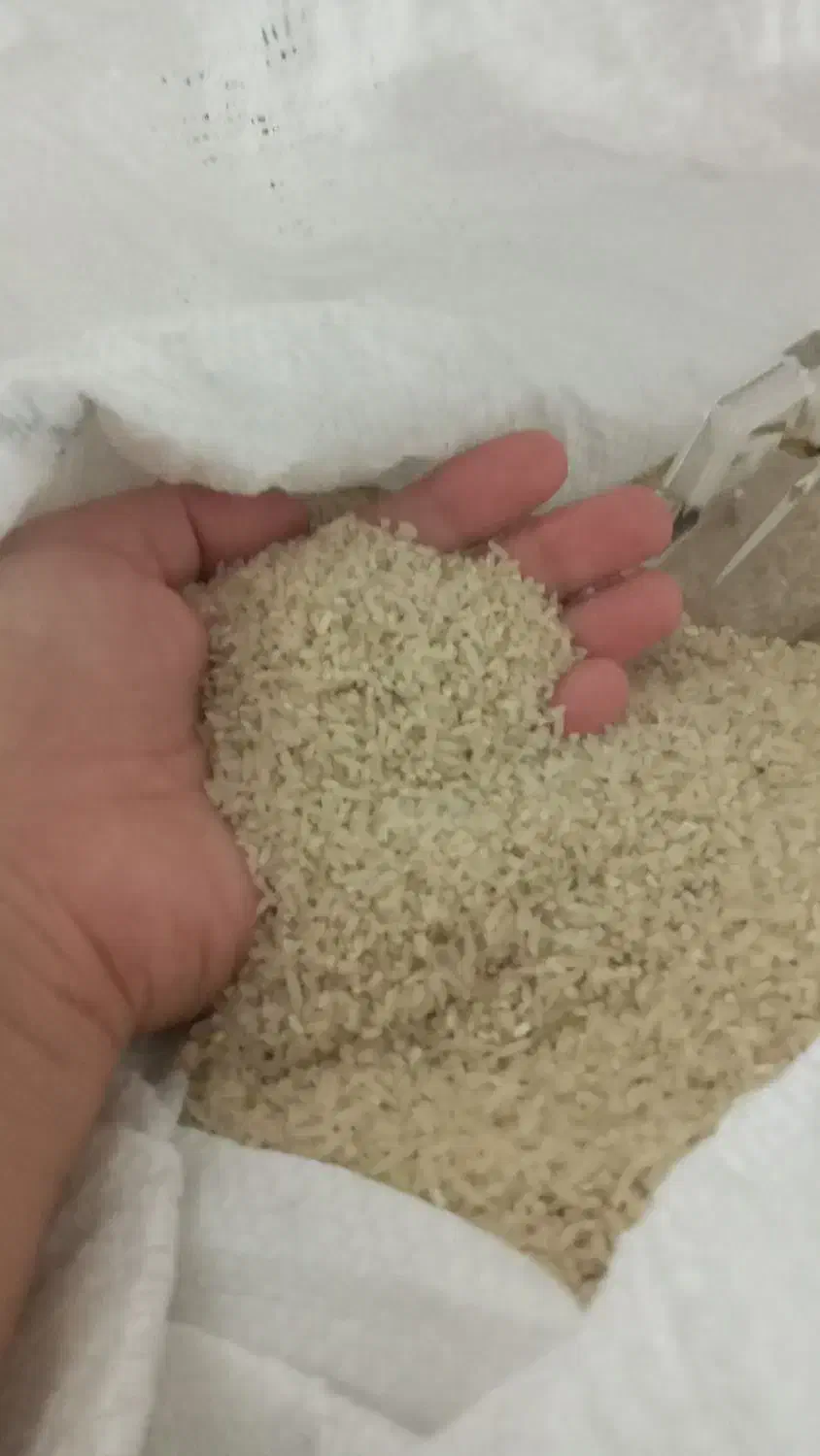 برنج خوشبو ۱۶۰ تومان موجود شد|خوردنی و آشامیدنی|پارس‌آباد, |دیوار