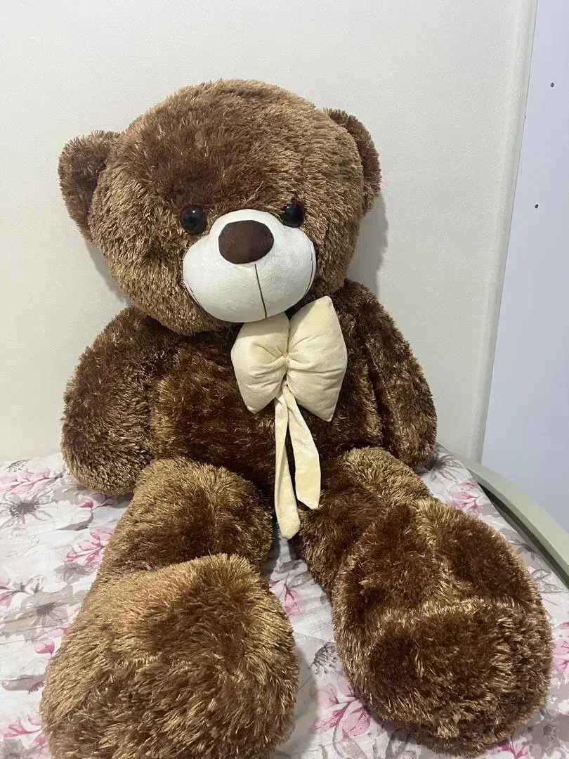 دو عدد خرس کاملا نو|اسباب‌‌بازی|مشهد, کارمندان دوم|دیوار