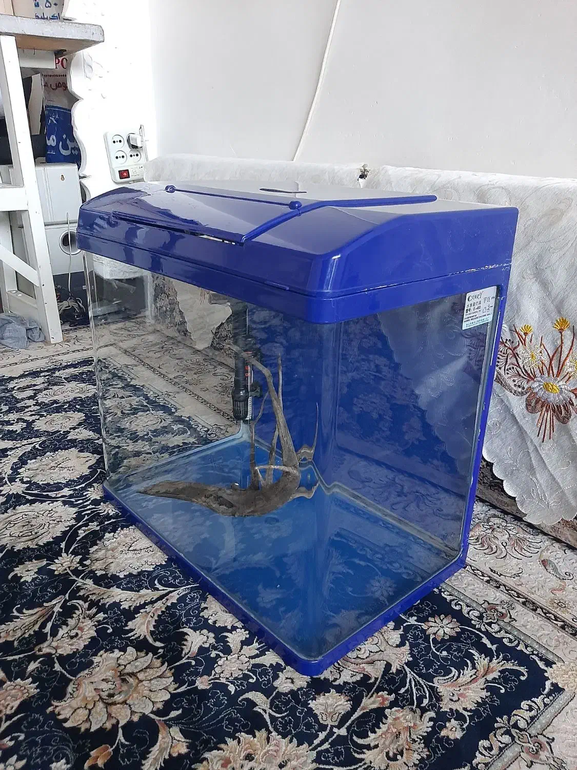 آکواریوم شرکتی|ماهی|سنندج, |دیوار