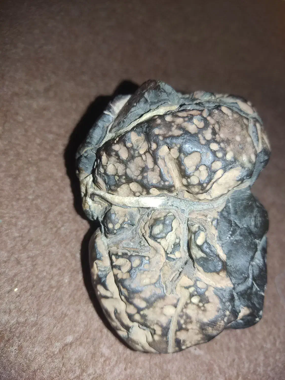 سنگ|جواهرات|خان ببین, |دیوار