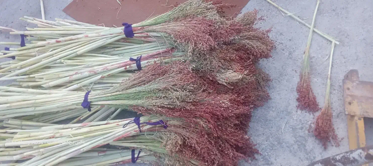 جارو ذراتی|لوازم نظافت|الشتر, |دیوار