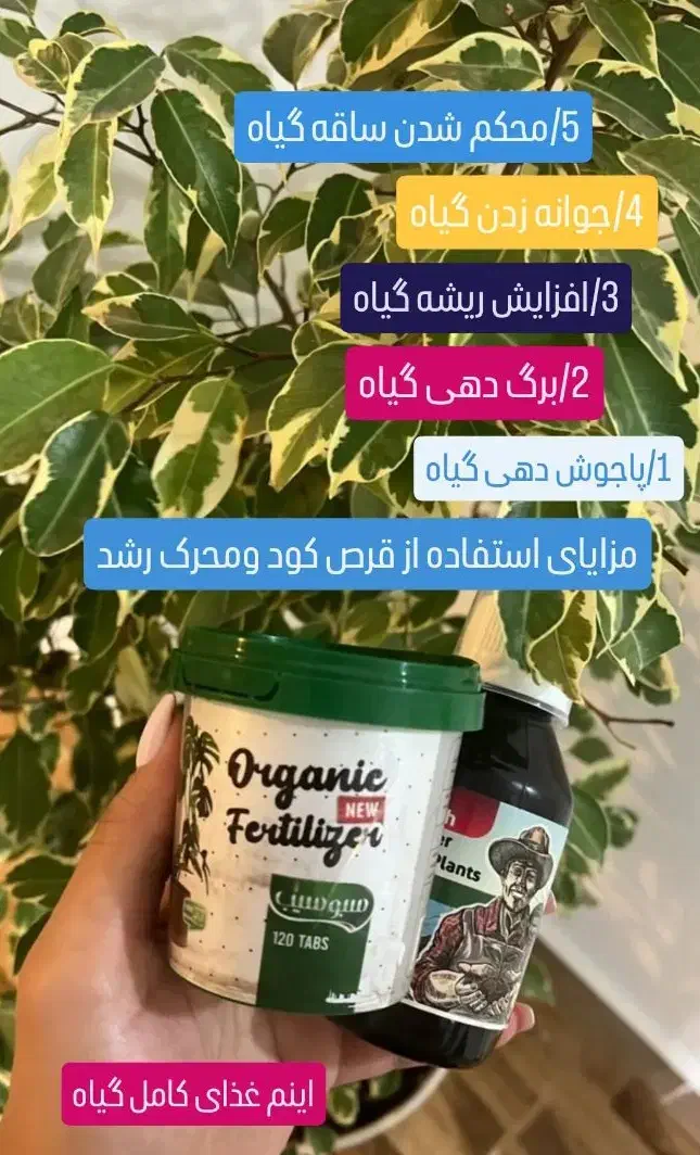 کود گیاهی|گل و گیاه طبیعی|بهبهان, |دیوار