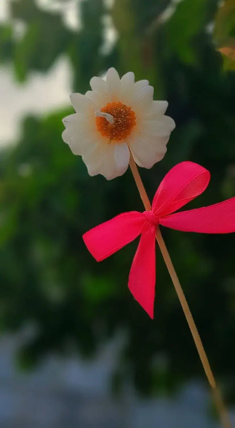 شمع|صنایع دستی و سایر لوازم تزئینی|زنجان, |دیوار