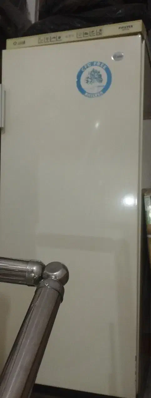 وسیله های خانه|فرش|الیگودرز, |دیوار