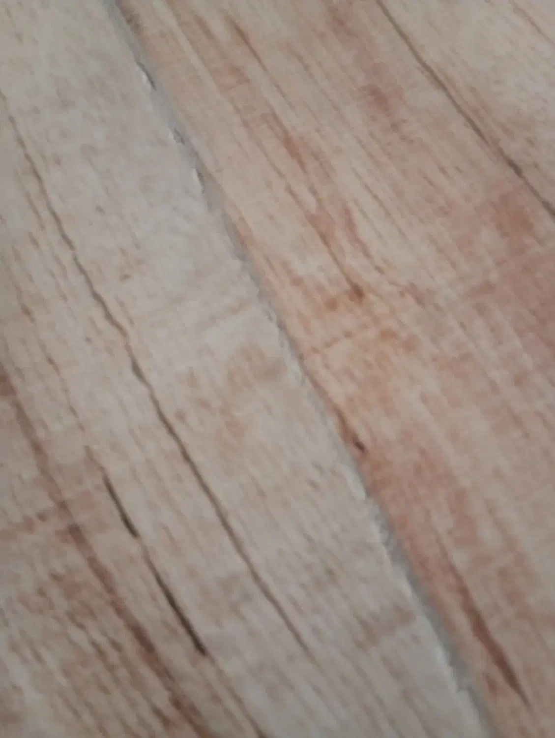 اجاره پارکینگ|اجارهٔ دفتر صنعتی، کشاورزی، تجاری|سمنان, |دیوار