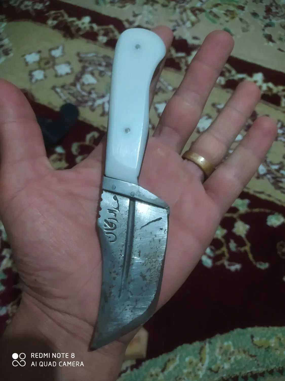 مولد معاوضه با جوجه مرغ عشق|پرنده|رشت, شهرک صبا|دیوار