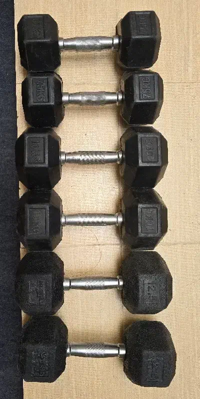 دمبل بدنسازی به همراه کش پیلاتس|تجهیزات ورزشی|شیراز, تحویلی|دیوار