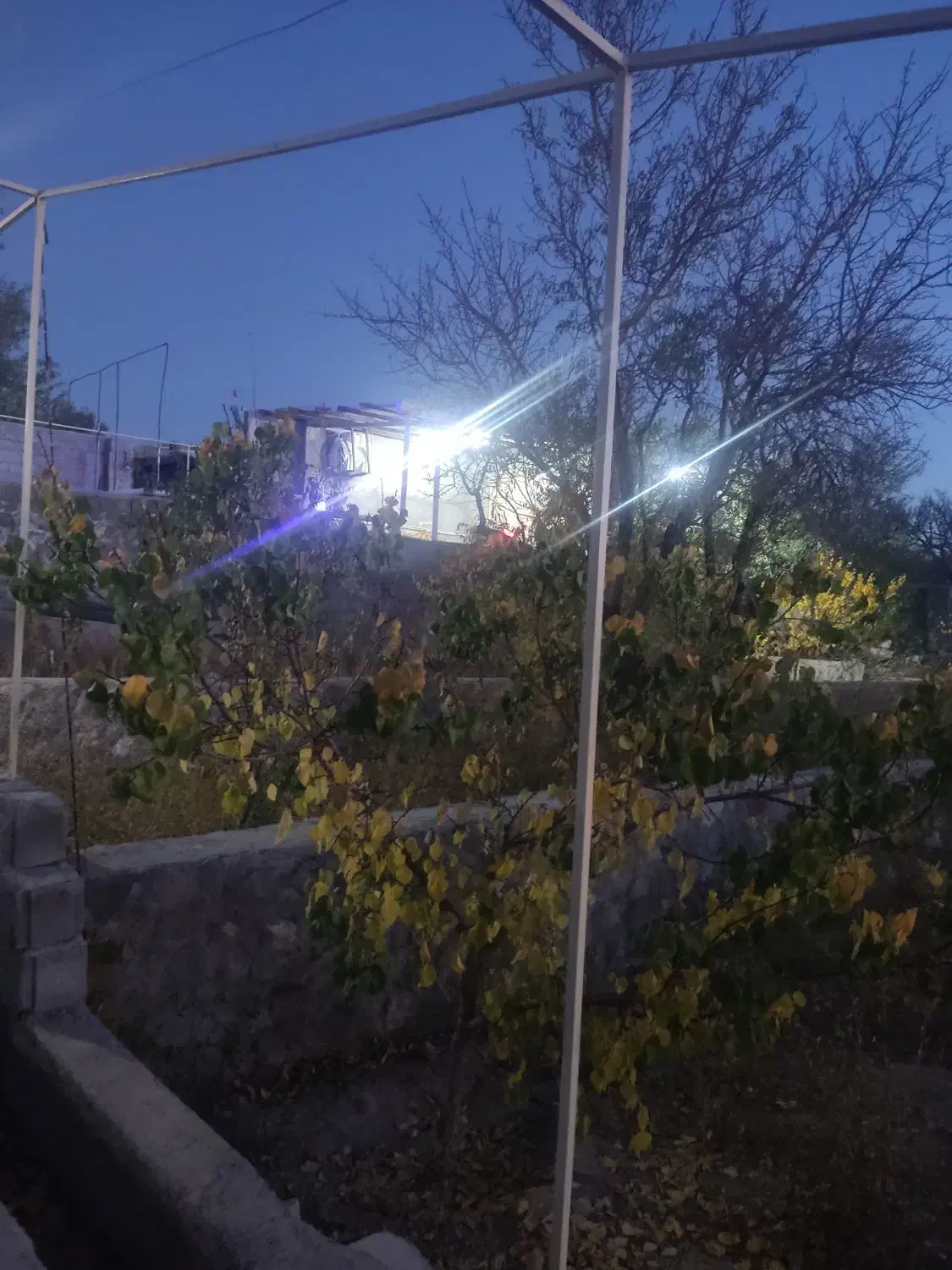 باغ در اسکو|فروش زمین و ملک کلنگی|اسکو, |دیوار