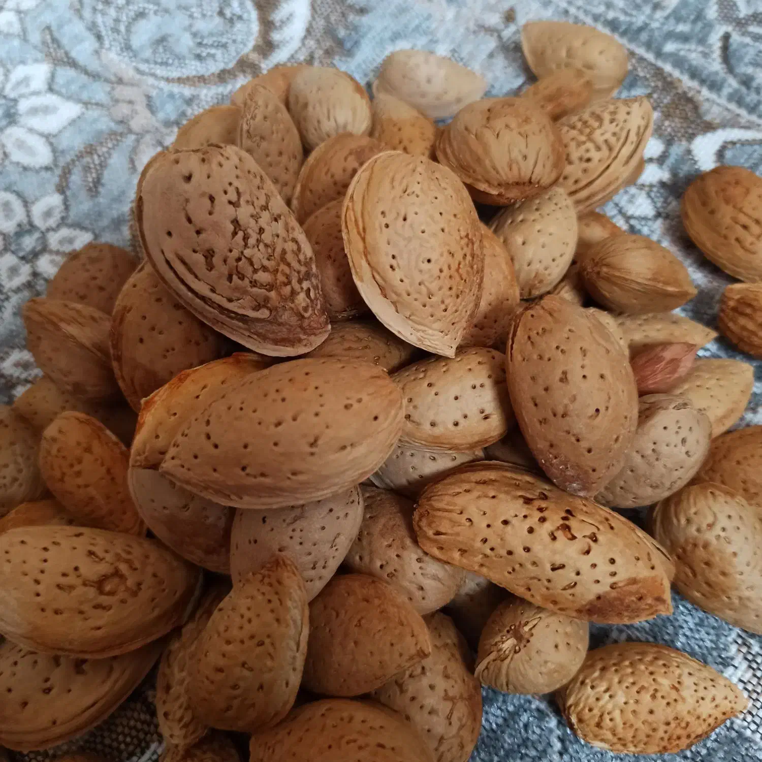 بادام سنگی|خوردنی و آشامیدنی|گیلان غرب, |دیوار