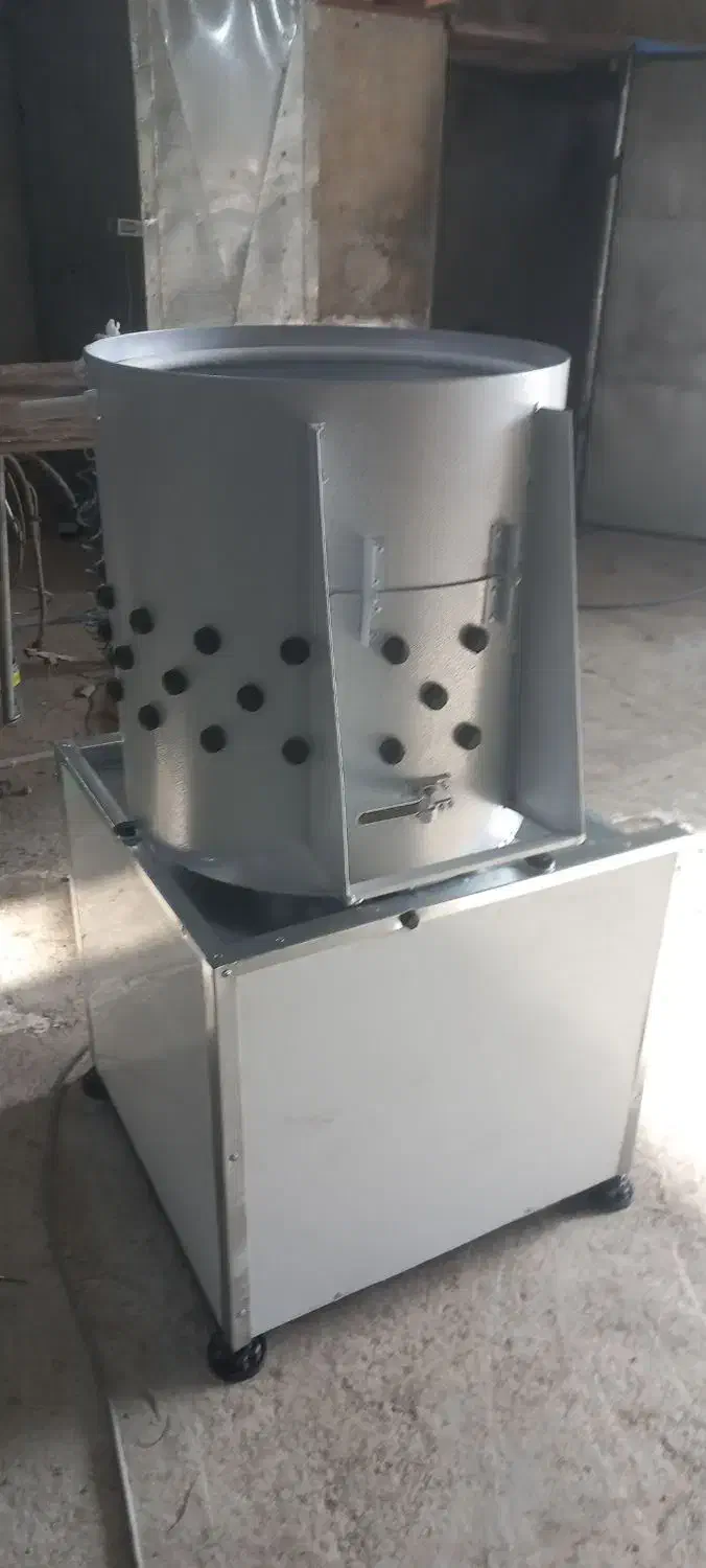 پوست کن پای مرغ|فروشگاه و مغازه|آمل, |دیوار