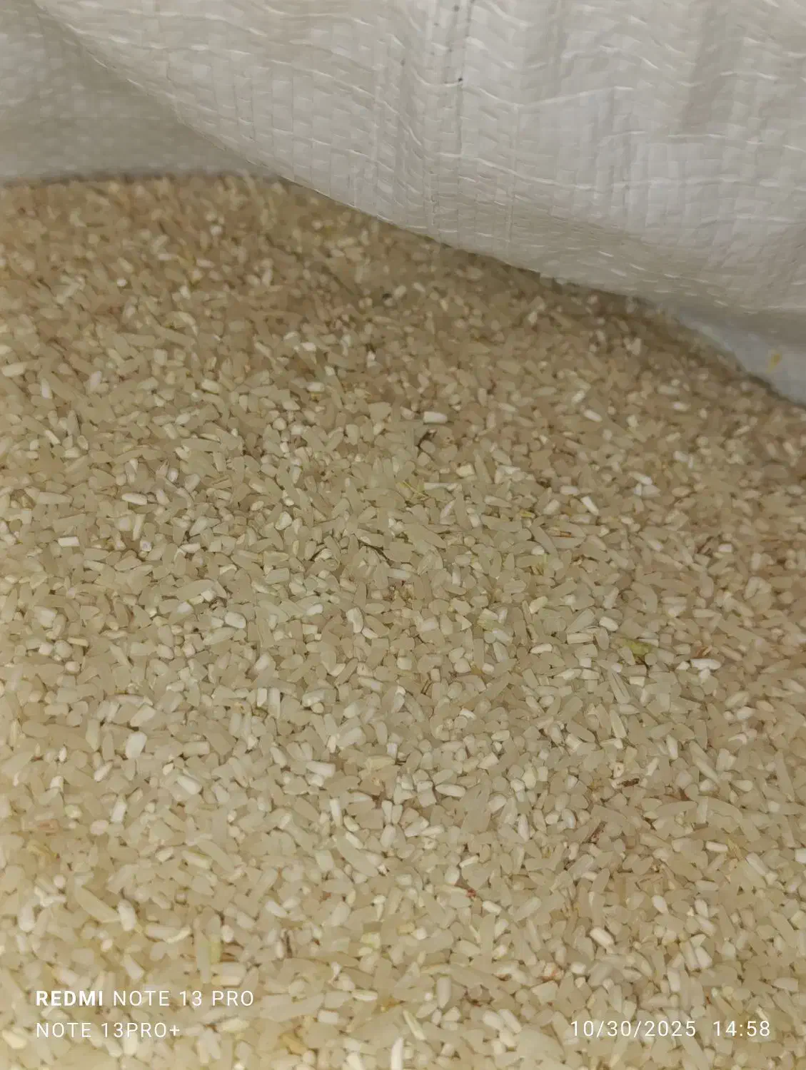 برنج فجر دهنه فندرسک|خوردنی و آشامیدنی|خان ببین, |دیوار