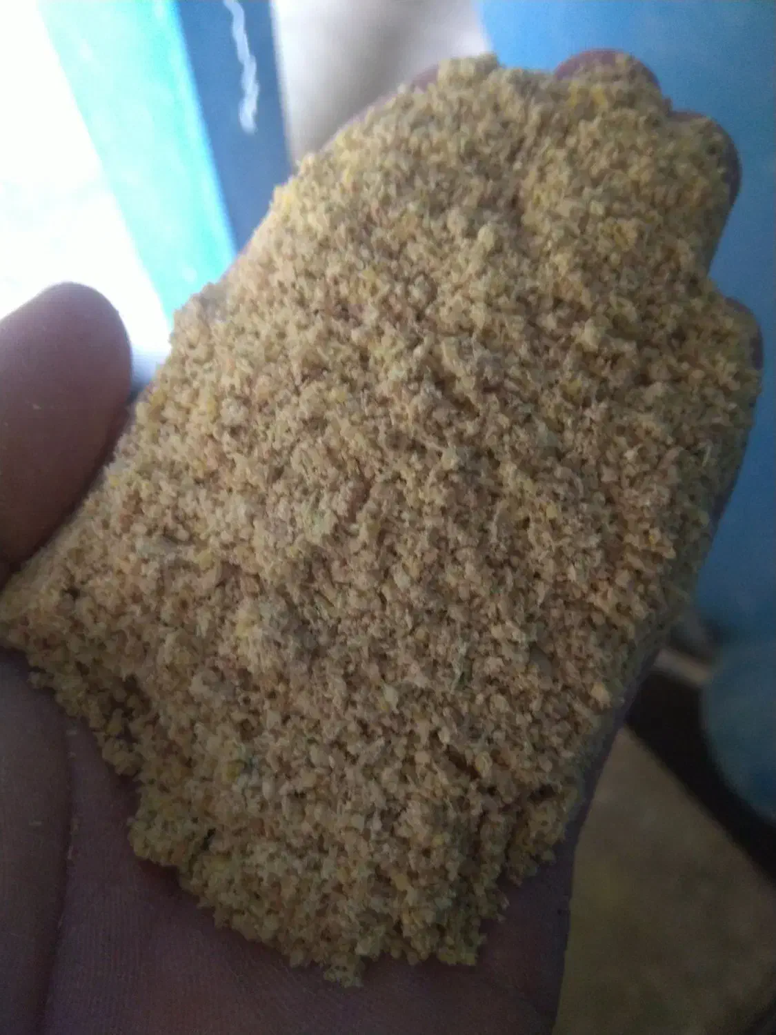 دان بوقلمون ، مرغ ، بلدرچین|لوازم جانبی حیوانات|کبودرآهنگ, |دیوار