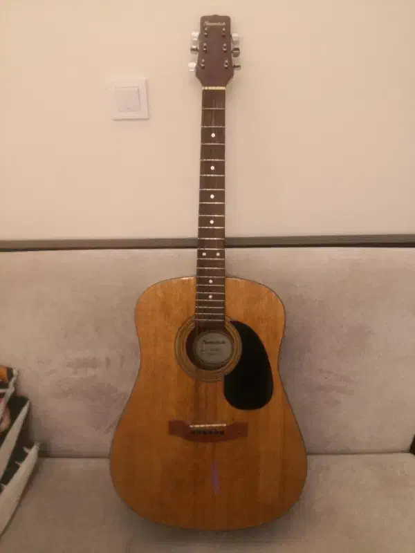 گیتار آگنوستیک|گیتار، بیس، امپلیفایر|تهران, فلسطین (میدان انقلاب)|دیوار