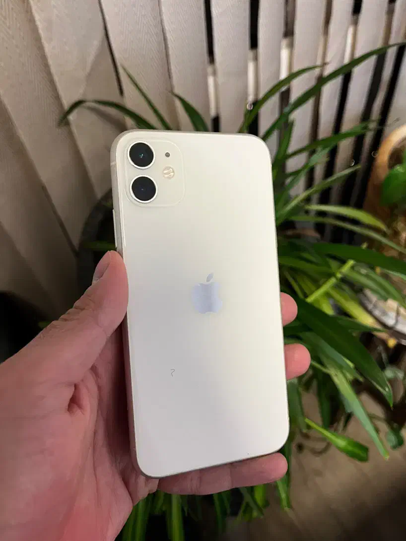 Iphone 11 اپل آیفون ۱۱ ۶۴ گیگ|موبایل|تهران, جردن|دیوار