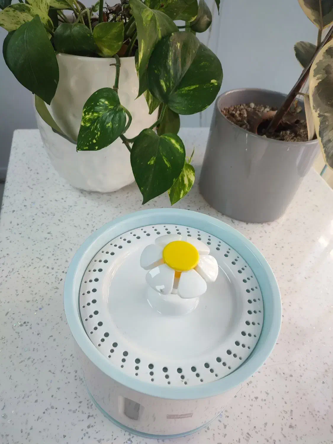 آب خوری اتومات حیوانات|لوازم جانبی حیوانات|تهران, قیطریه|دیوار