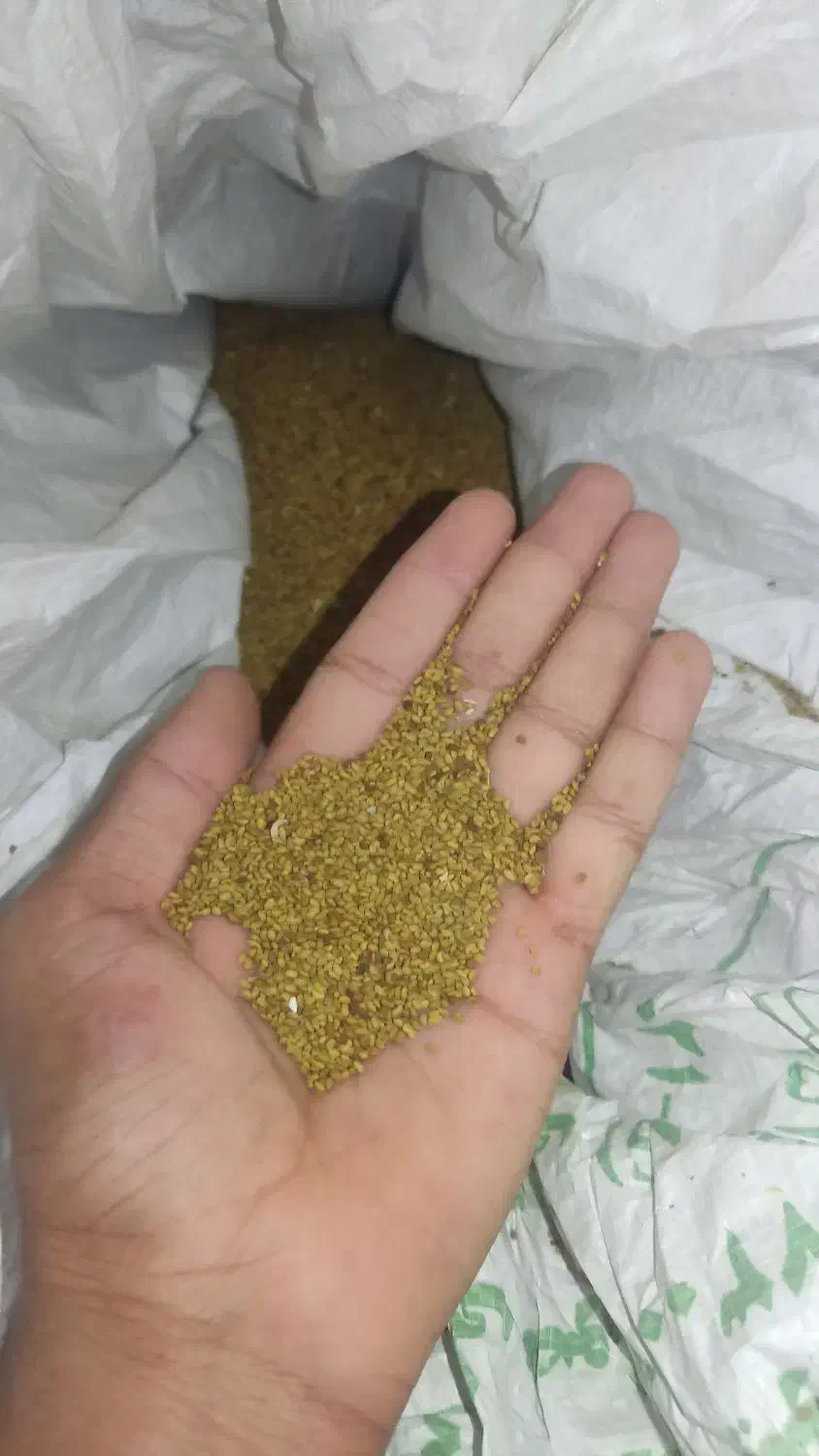 بزر یونجه علف درجه یک|گل و گیاه طبیعی|دامن, |دیوار