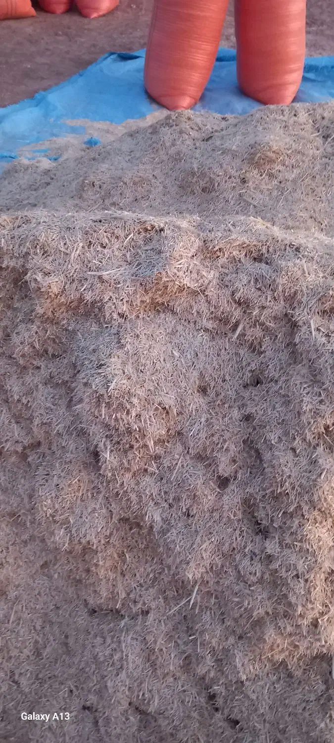 کاه|حیوانات مزرعه|تربت جام, میان جام|دیوار