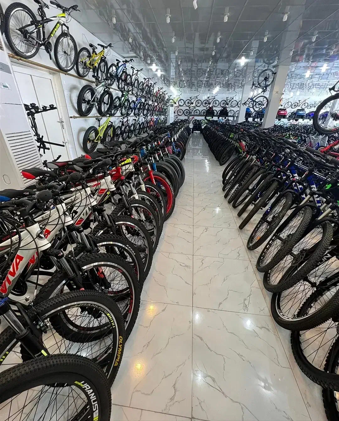 دوچرخه ویوا اصلی شیمانو اندونزی 2025|دوچرخه، اسکیت، اسکوتر|قم, زند آباد|دیوار