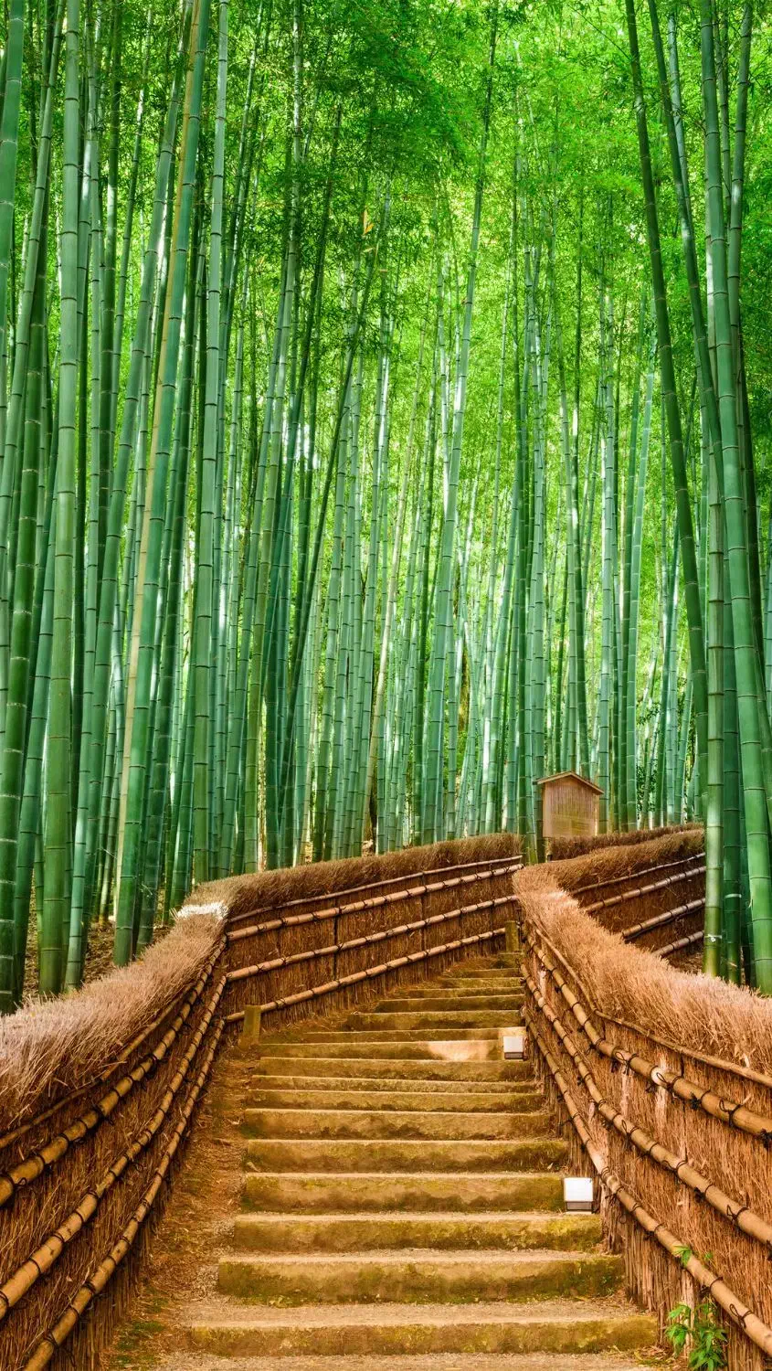 فروش زمین|فروش زمین و ملک کلنگی|پاتاوه, |دیوار