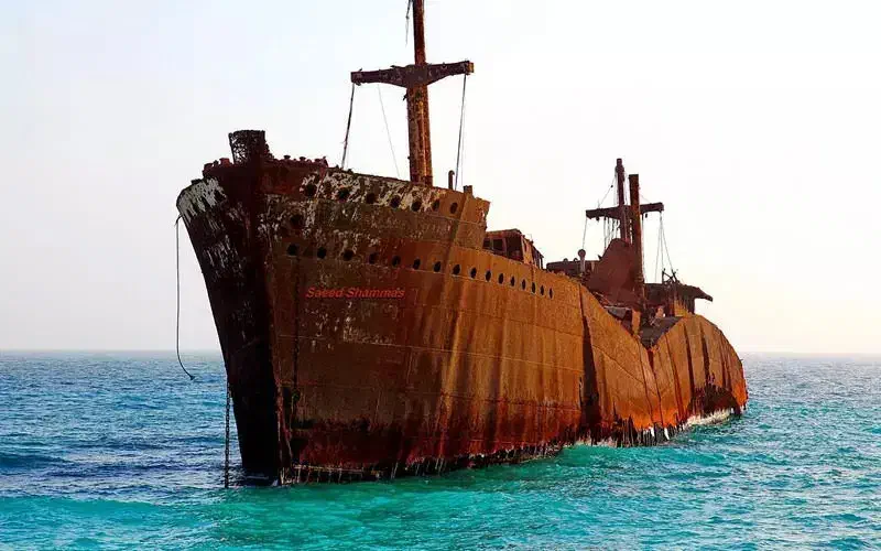 پایین ترین قیمت کیش|تور و چارتر|مشهد, رضاشهر|دیوار