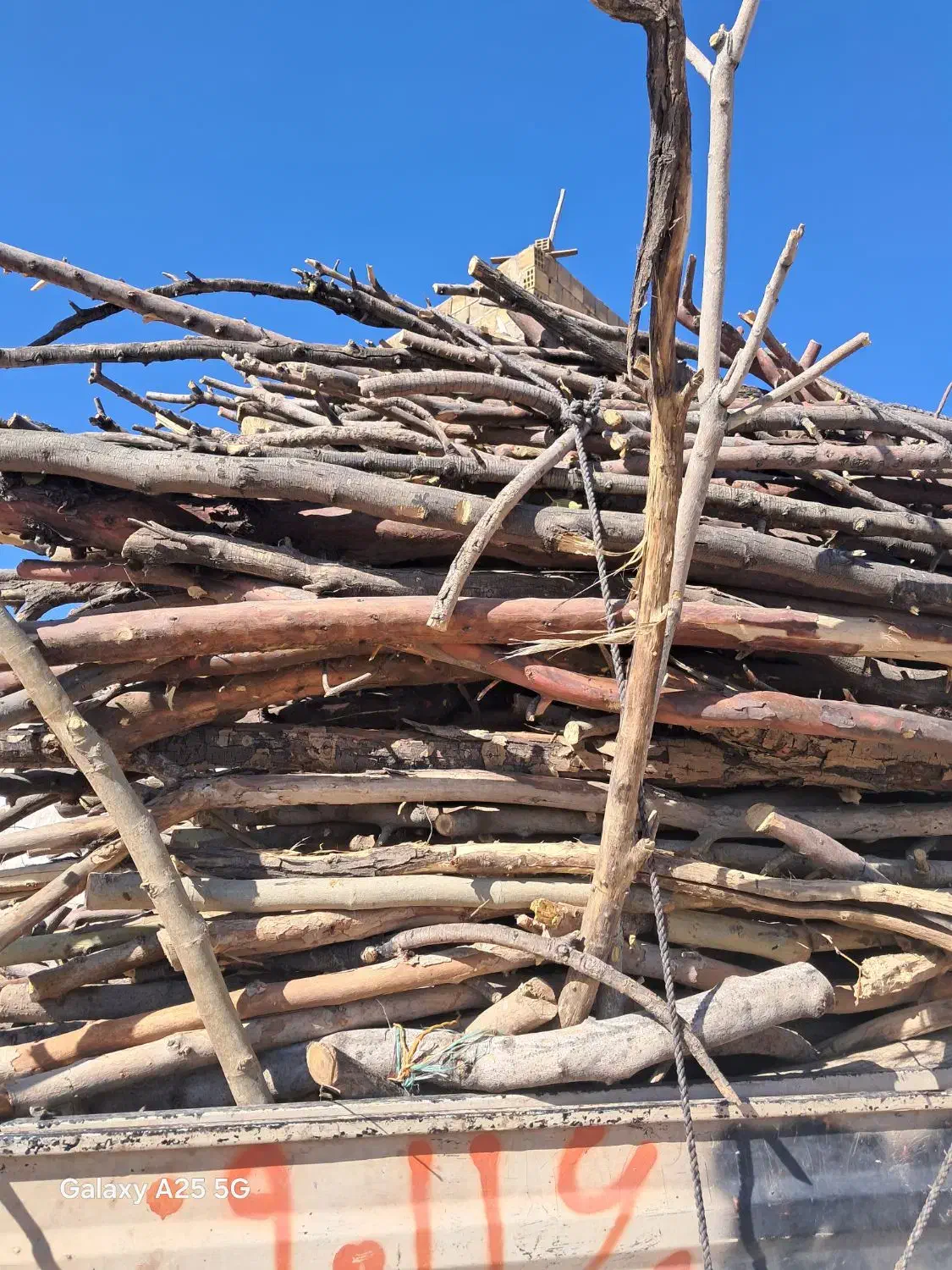 خریدچوب وهرس درختان|خدمات باغبانی و درختکاری|لنجان, |دیوار