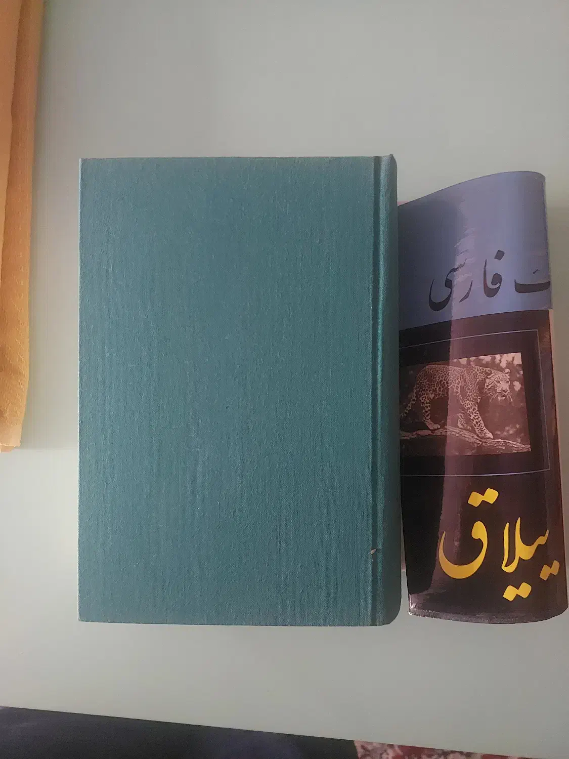 فرهنگ فارسی ۶ جلدی دکتر معین|کتاب و مجله ادبی|مشهد, امام خمینی|دیوار