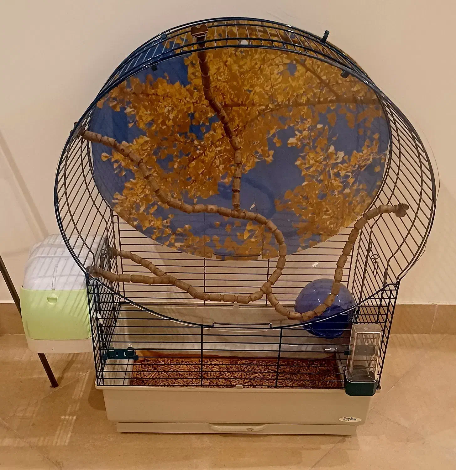 قفس پرنده|لوازم جانبی حیوانات|رشت, معلم|دیوار