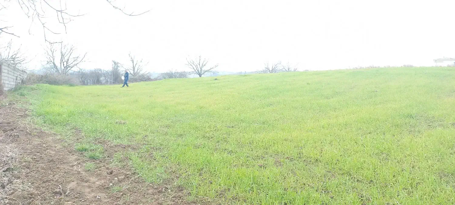 فروش ۳۰۰۰ زمین متری ۳۰۰۰میلیون. .|فروش دفتر صنعتی، کشاورزی، تجاری|پایین هولار, |دیوار