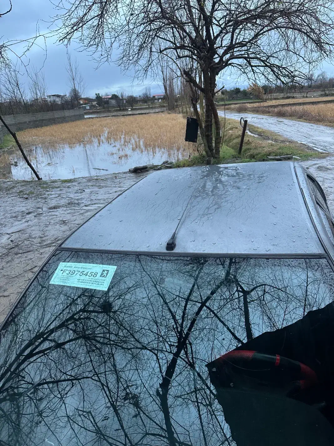 ۸۸عروسک‌|خودرو سواری و وانت|آمل, |دیوار