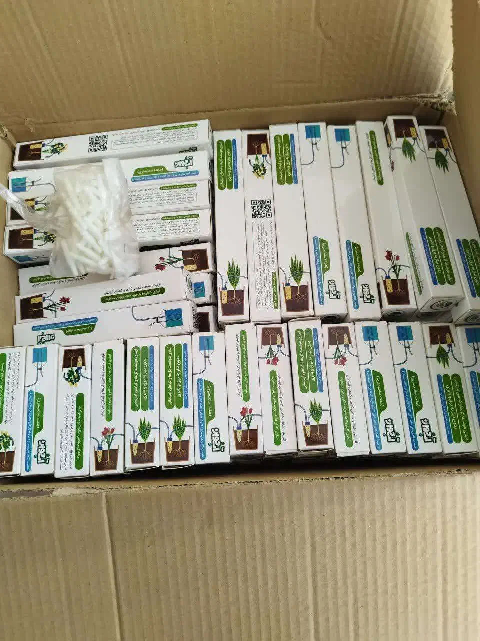 آبخوان آبیاری|گل و گیاه طبیعی|اهواز, کوروش|دیوار