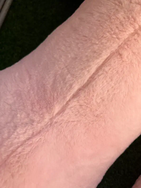 عروسک خرس|اسباببازی|تهران, خاک سفید|دیوار