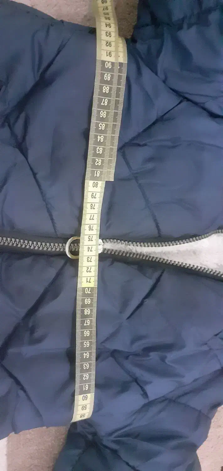 کاپشن سرمه ای|لباس|رشت, نظری|دیوار