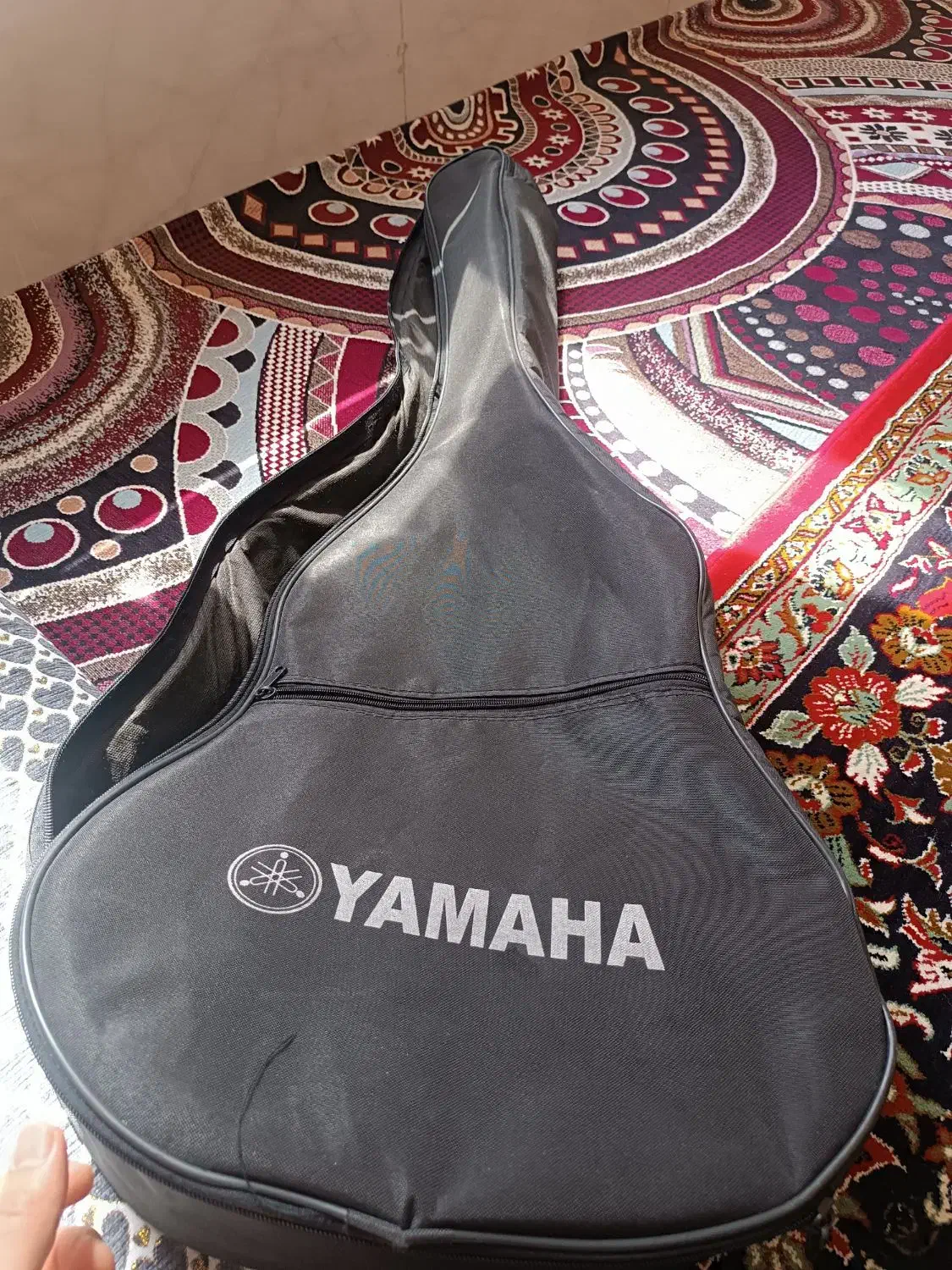 گیتار همراه با کاور|گیتار، بیس، امپلیفایر|یزد, |دیوار