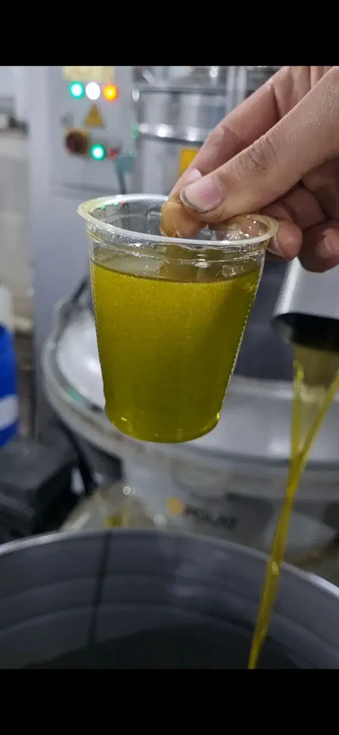 روغن زیتون کرونایکی|خوردنی و آشامیدنی|رودبار, |دیوار