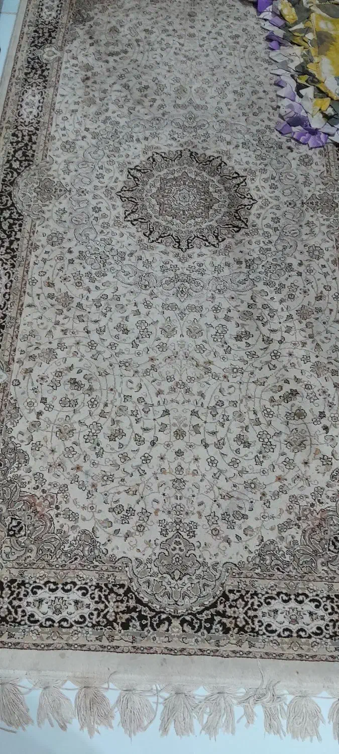 فرش|فرش|بندر انزلی, سید آسیه|دیوار