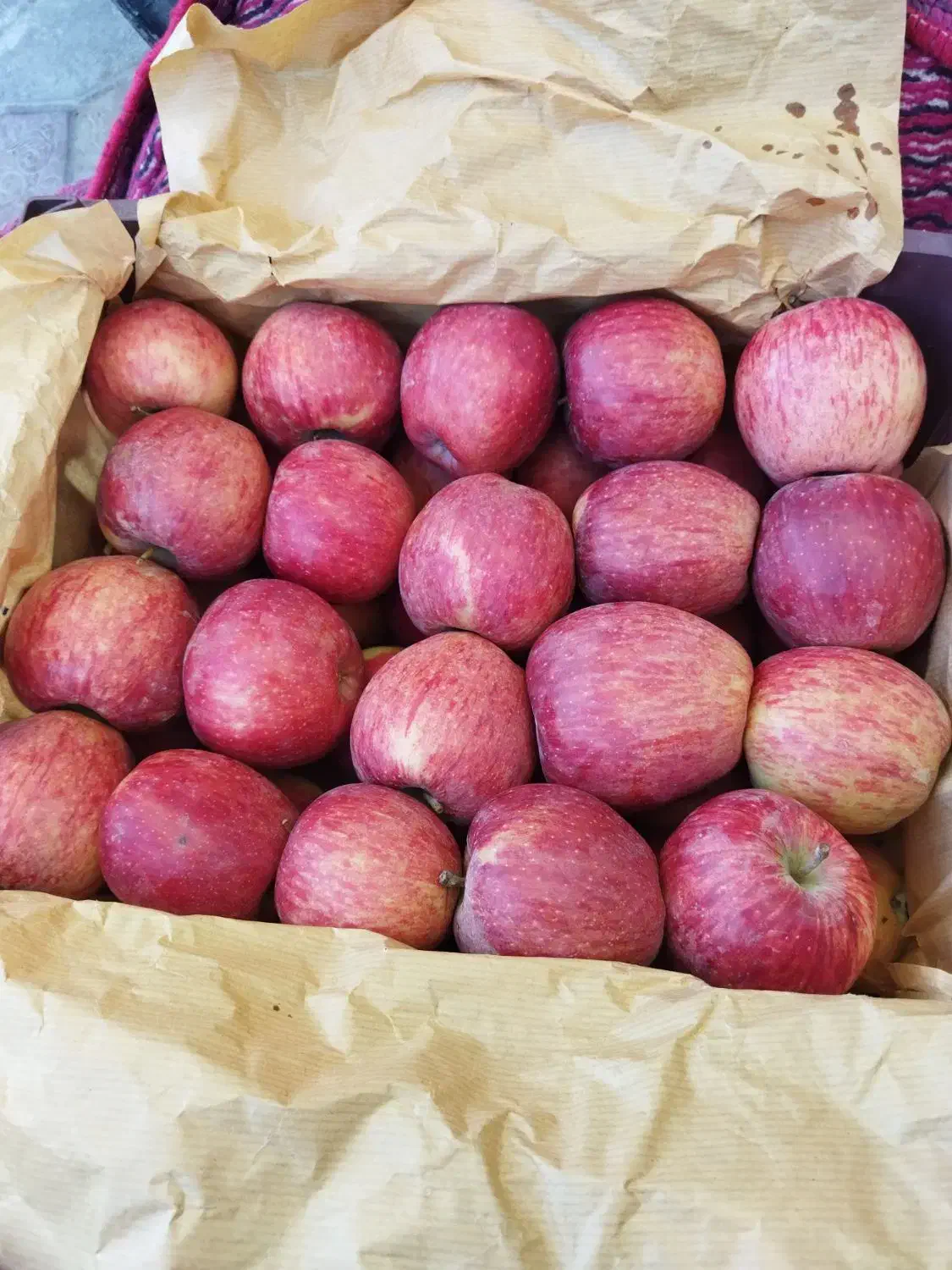 سیب قرمز درجه یک|عمده‌فروشی|مشگین شهر, |دیوار