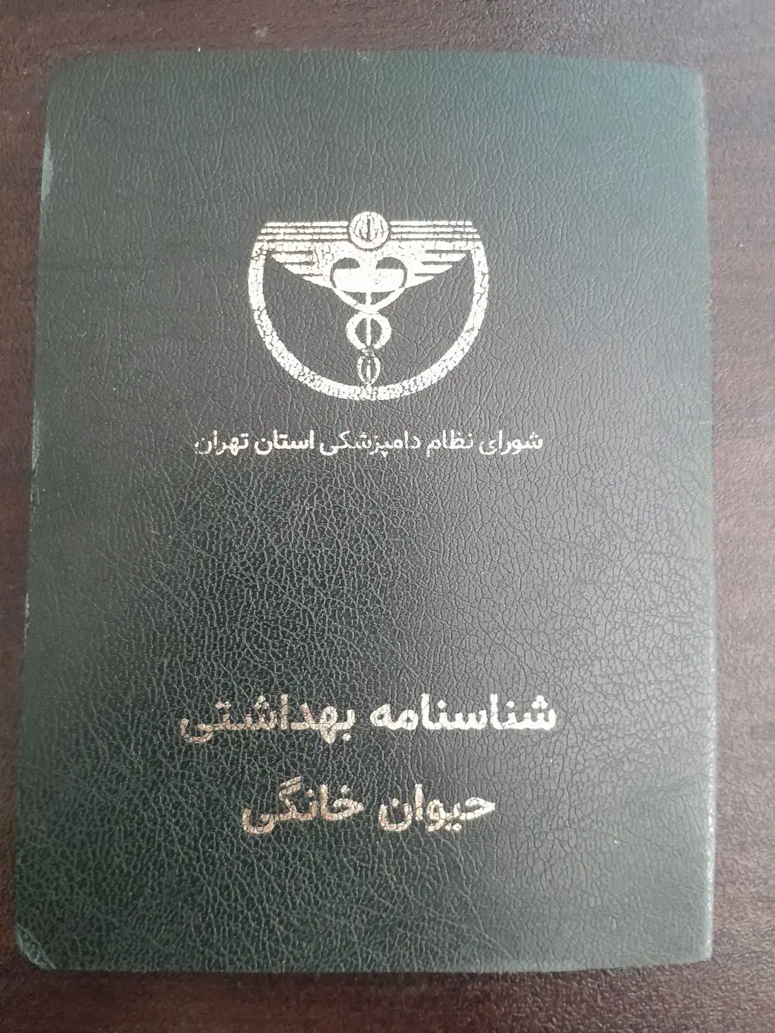 واگذاری پیت بول ۸ ماهه|سگ|تهران, اقدسیه|دیوار