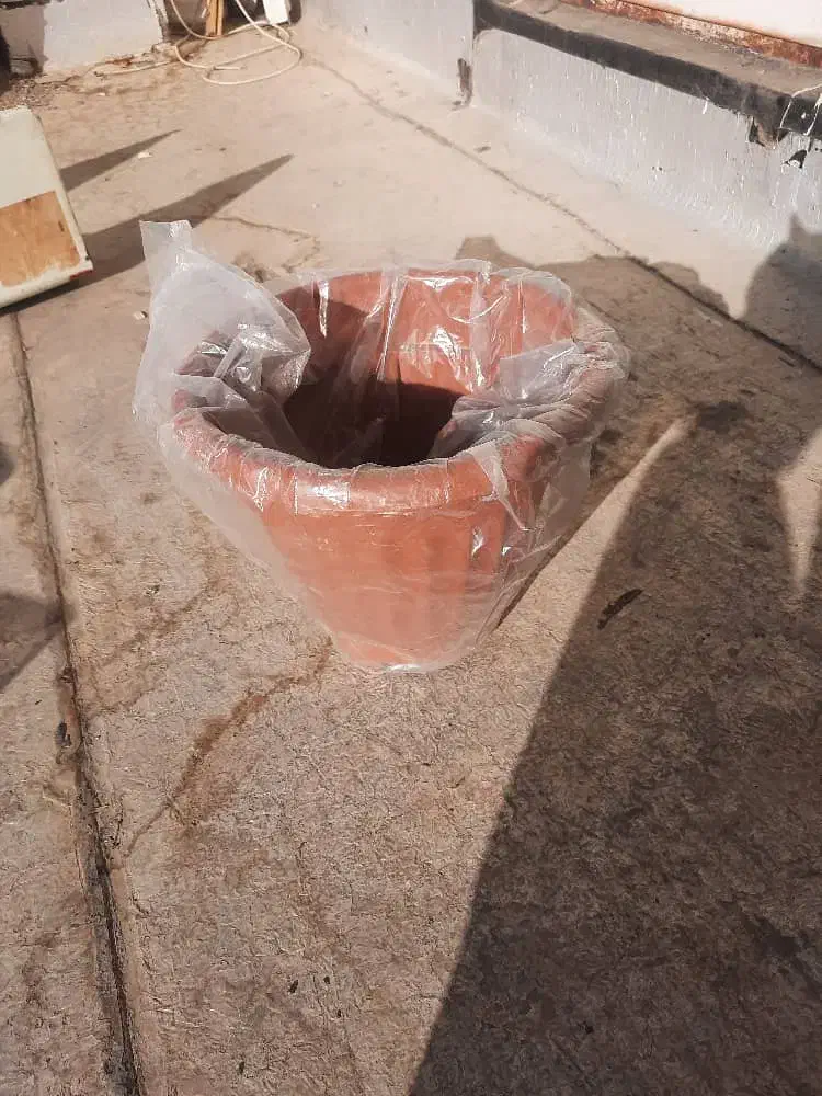 گلدون نو|گل و گیاه طبیعی|بومهن, |دیوار