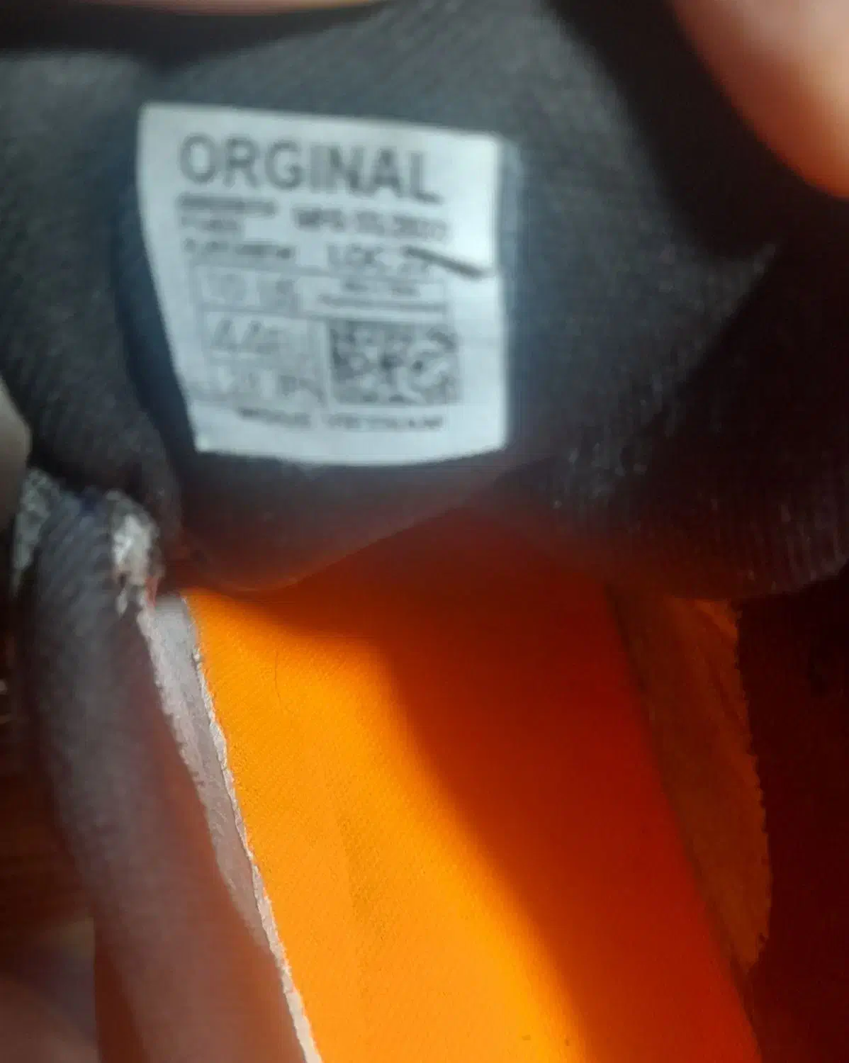 کتانی نو|کیف، کفش، کمربند|اردبیل, |دیوار