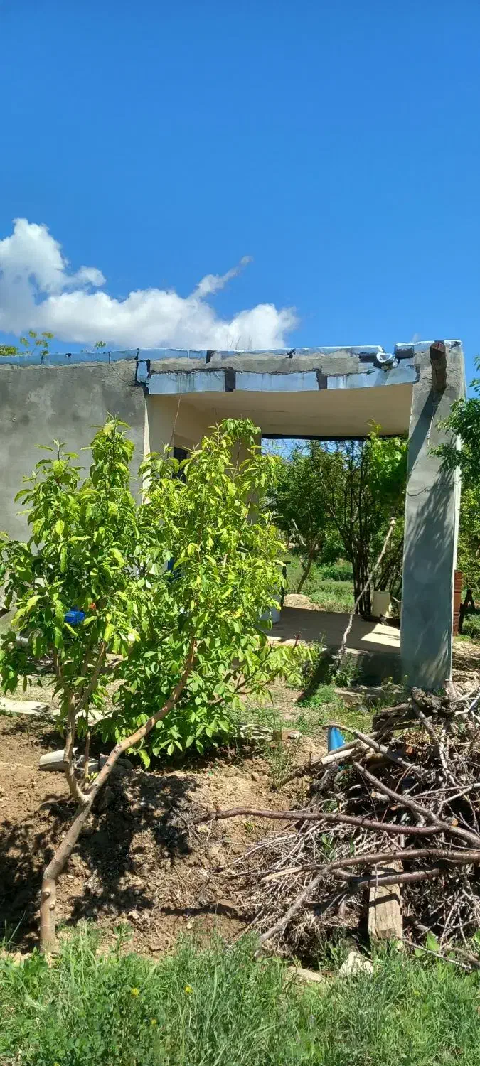 باغچه بادرختان الوان|فروش زمین و ملک کلنگی|انزل, |دیوار