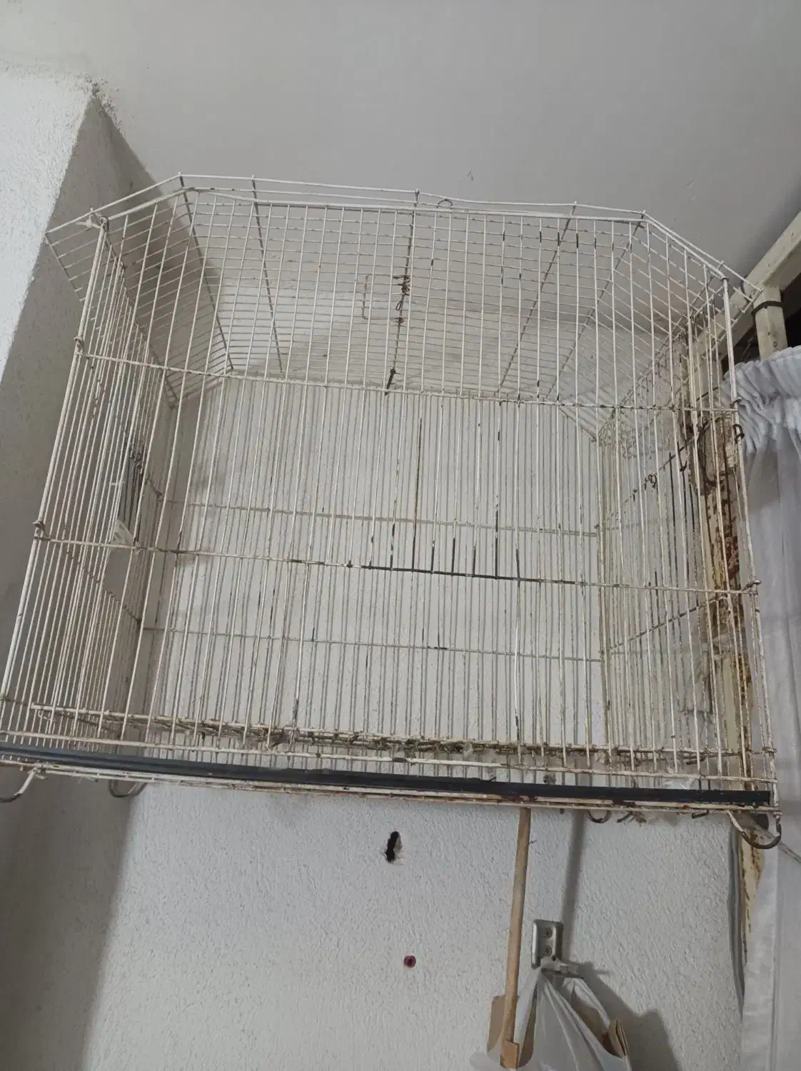 قفس پرنده|لوازم جانبی حیوانات|گرگان, |دیوار